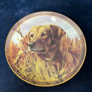 VTG Hoosier Portrait Hound Plate